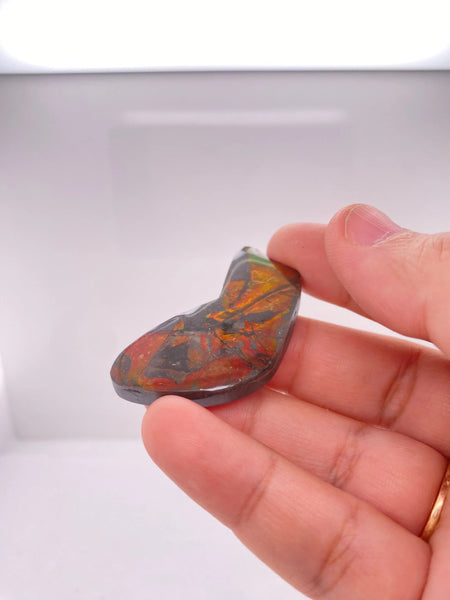 Ammonite Art Piece 43x22mm PN E170-71