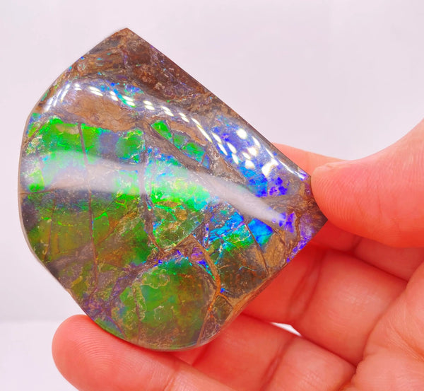 Ammonite Art Piece 44x52mm PN E170-34