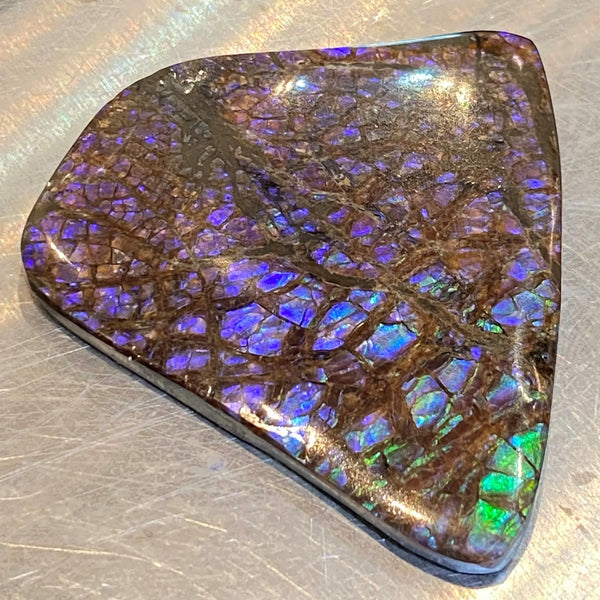 Ammonite Art Piece 45x51mm Top View PN E170-36