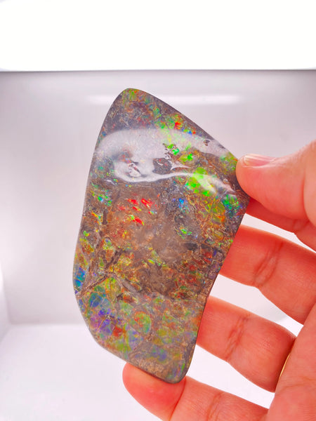 Ammonite Art Piece 45x80mm PN E134PR