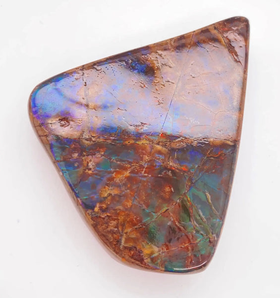 Ammonite Art Piece 46x44mm PN E137J