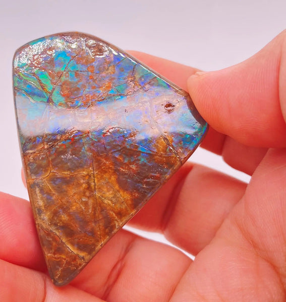 Ammonite Art Piece 46x44mm Left View PN E137J