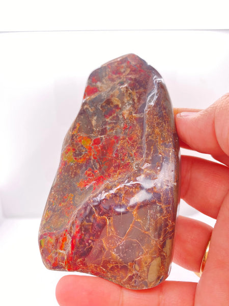 Ammonite Art Piece 50x98mm PN E170-65