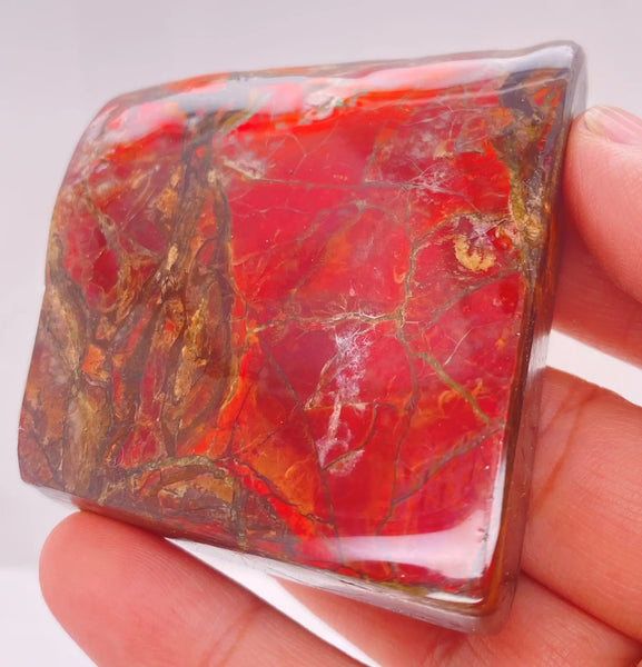 Ammonite Art Piece 57x65mm Right View PN E170-39