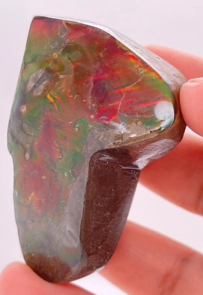 Ammonite Art Piece 58x39mm Right View PN E170-59