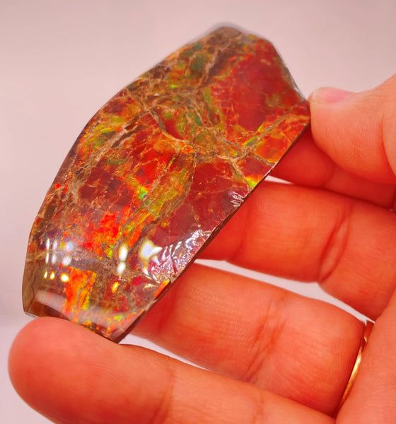 Ammonite Art Piece 72x32mm Right View PN E170-62