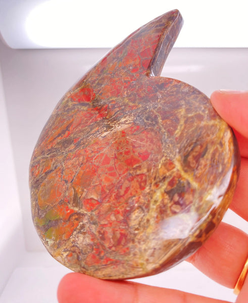 Ammonite Art Piece 80x110mm Left View PN E1422