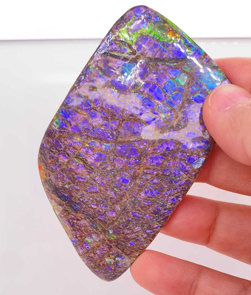 Ammonite Art Piece 80x47mm Front View PN E134DR