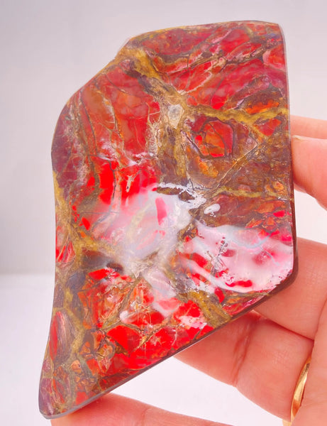 Ammonite Art Piece 86x57mm PN E170-42