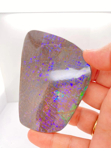 Ammonite Art Piece 92x65mm PN E170-29