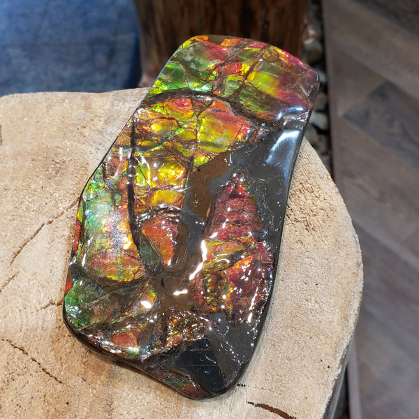 Ammonite Hand Piece that is 70x130mm PN E1381D %product from Empire Ammolite