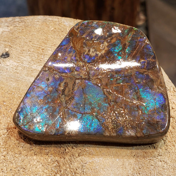 Ammolite Art Piece 50x57mm PN E137B