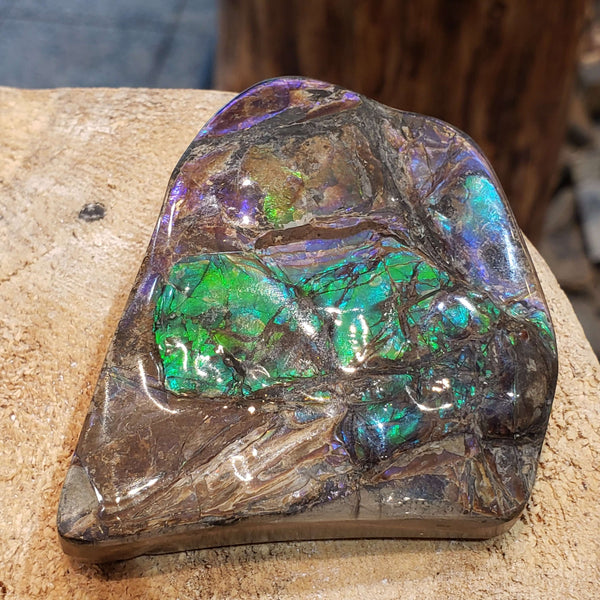 Ammolite Art Piece 55x61mm PN E137