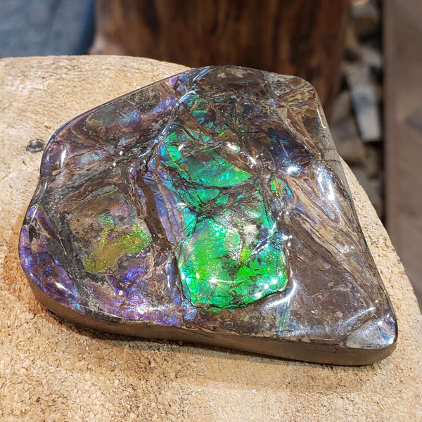Ammolite Art Piece 55x61mm PN E137