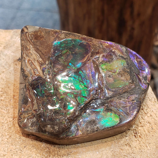 Ammolite Art Piece 55x61mm PN E137
