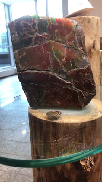 Ammolite 200x300mm Large Art Piece Pn: E1417