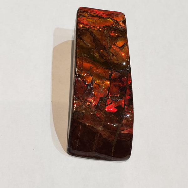 Ammonite Art Piece 30x75mm PN: E170-05 %product from Empire Ammolite