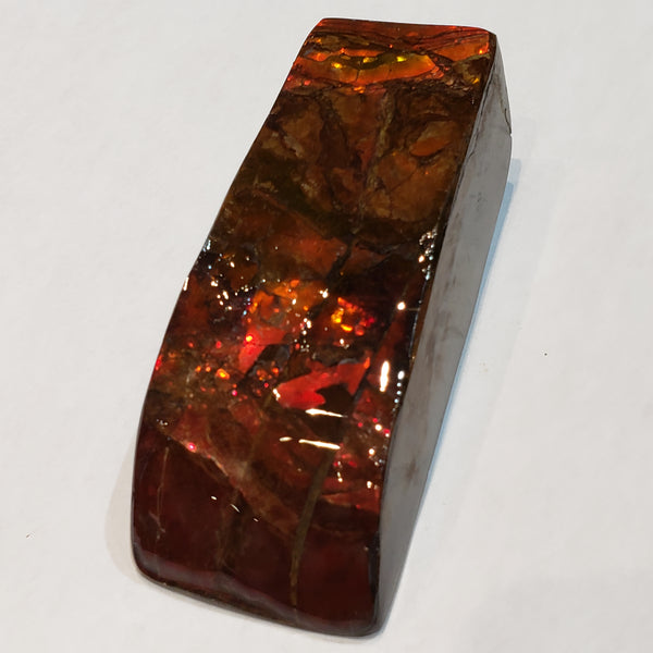 Ammonite Art Piece 30x75mm PN: E170-05 %product from Empire Ammolite