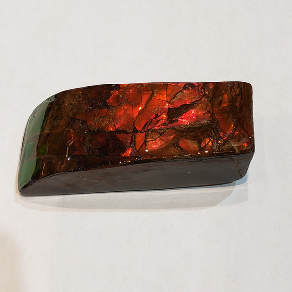 Ammonite Art Piece 30x75mm PN: E170-05 %product from Empire Ammolite