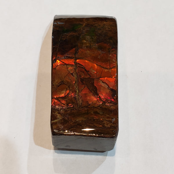 Ammonite Art Piece 30x75mm PN: E170-05 %product from Empire Ammolite