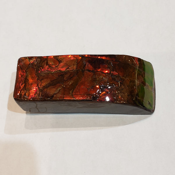 Ammonite Art Piece 30x75mm PN: E170-05 %product from Empire Ammolite