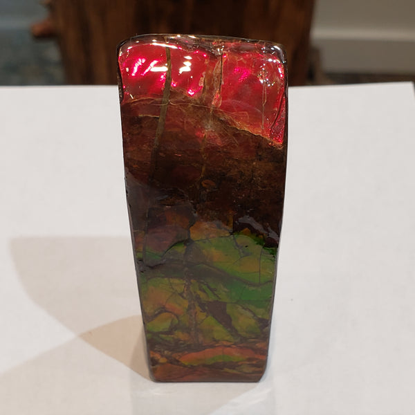 Ammonite Art Piece 30x75mm PN: E170-05 %product from Empire Ammolite