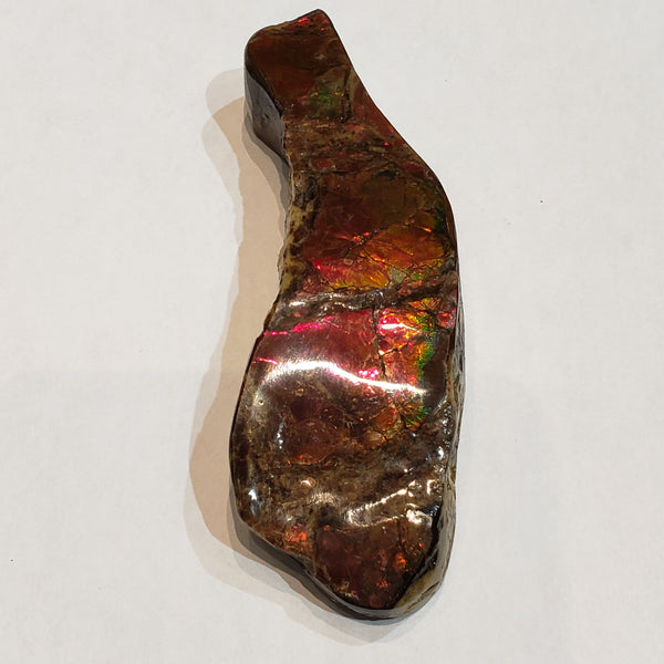 Ammonite Art Piece 35x110mm PN: E170-06 %product from Empire Ammolite
