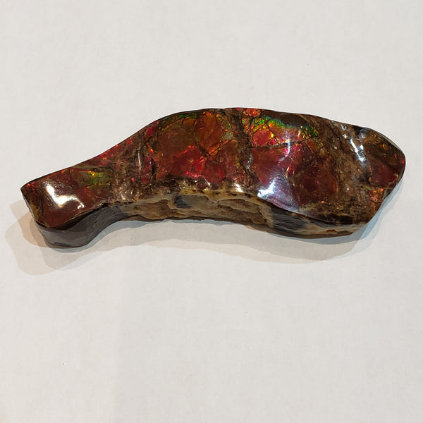 Ammonite Art Piece 35x110mm PN: E170-06 %product from Empire Ammolite