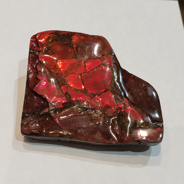 Ammonite Art Piece 51x58mm PN: E170-07 %product from Empire Ammolite