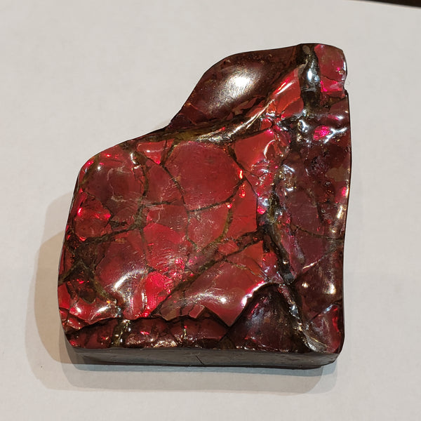 Ammonite Art Piece 51x58mm PN: E170-07 %product from Empire Ammolite