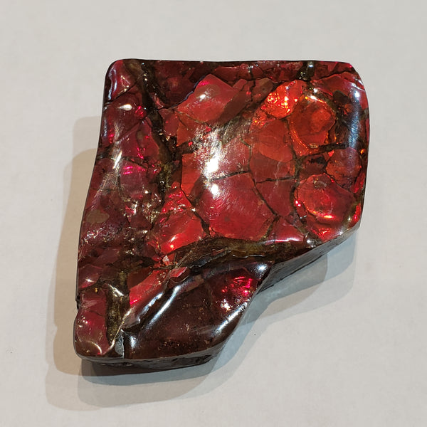 Ammonite Art Piece 51x58mm PN: E170-07 %product from Empire Ammolite