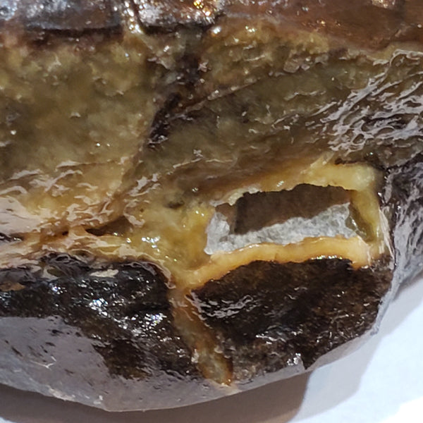 Ammonite Art Piece 69x89mm PN: E170-12 %product from Empire Ammolite