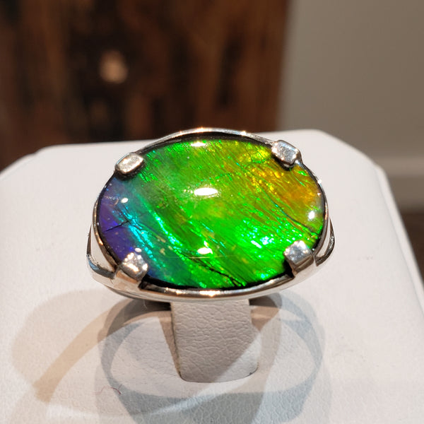 Ammolite Ring with an Oval 12x16mm Gem Set in Silver PN: E20691 %product from Empire Ammolite