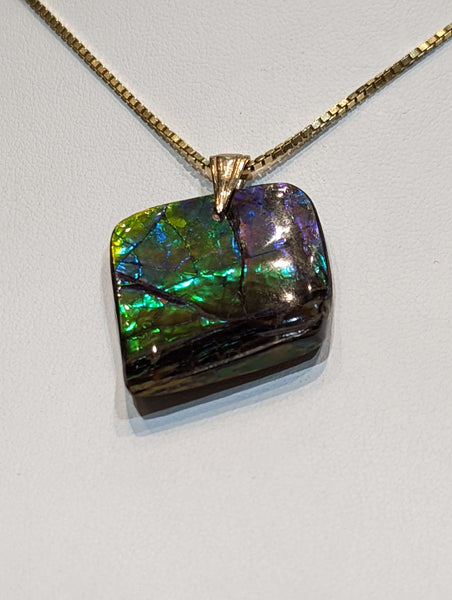 Ammolite Freeform Pendant that is 30x35mm PN E2123C %product from Empire Ammolite