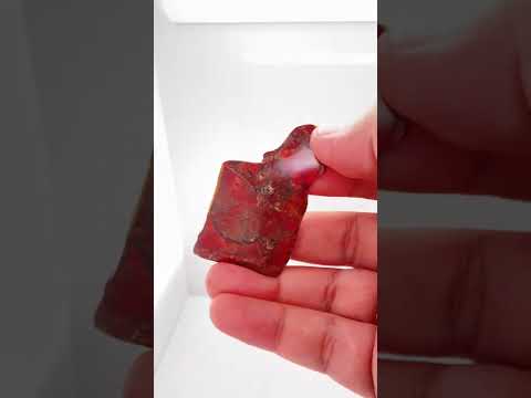 Ammonite Art Piece 30x50mm Video PN E170-35