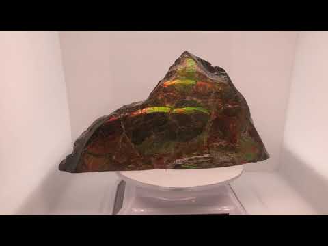 Canadian Ammonite Art Piece Video that is 80x140mm in Size