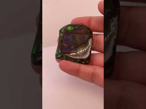 Ammonite Art Piece 42x37mm Video PN E170-27