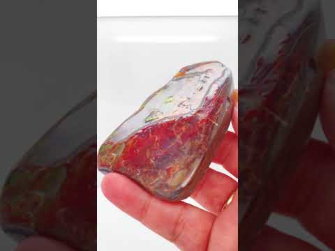 Ammonite Art Piece 50x98mm Video PN E170-65
