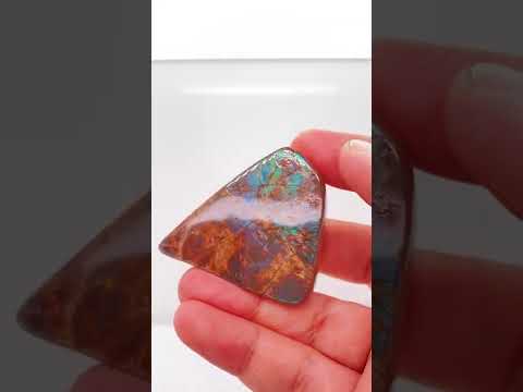 Ammonite Art Piece 46x44mm Video PN E137J