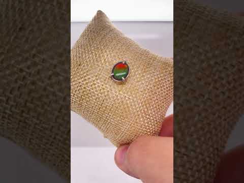 Ammolite Oval Silver Pin Video PN E10522