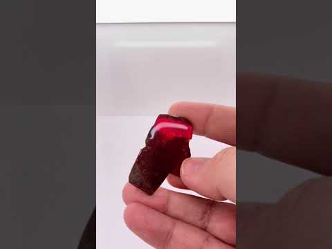 Ammonite Art Piece 39x25mm Video PN E170-73