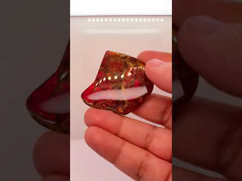 Ammonite Art Piece 39x37mm Video PN E170-70