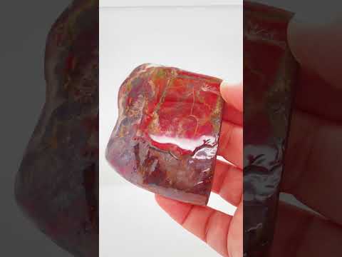 Ammonite Art Piece 56x63mm Video PN E170-44