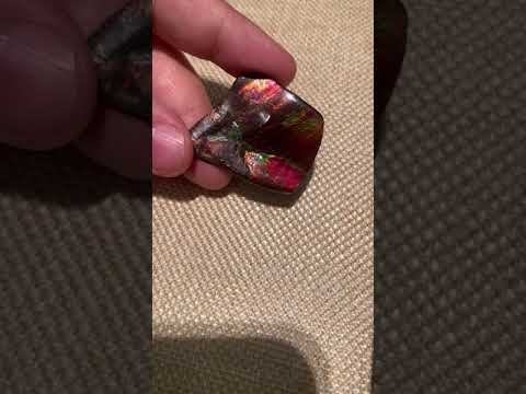 Ammonite Hand Piece Video with Red and Pink