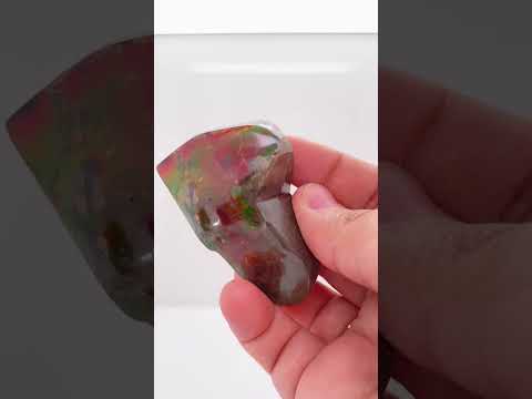 Ammonite Art Piece 58x39mm Video PN E170-59