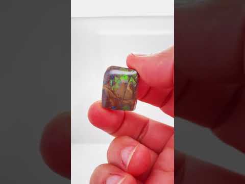 Ammonite Art Piece 17x21mm Video PN E170-46