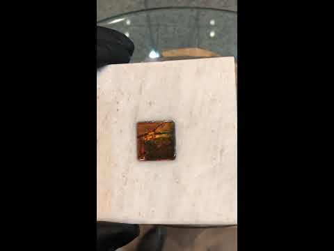 Ammonite Coaster with Real Ammolit Gemstone set in Dolomite