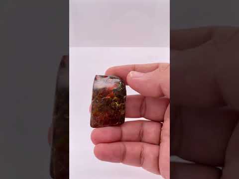 Ammonite Art Piece 38x25mm Video PN E170-75