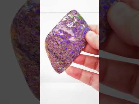 Ammonite Art Piece 80x47mm Video PN E134DR