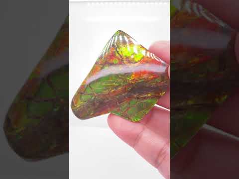 Ammonite Art Piece 42x54mm Video PN E170-31
